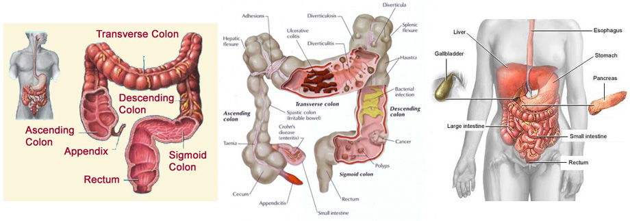 ColonHydrotherapyMachineforSaleACompleteGuide 73 3729