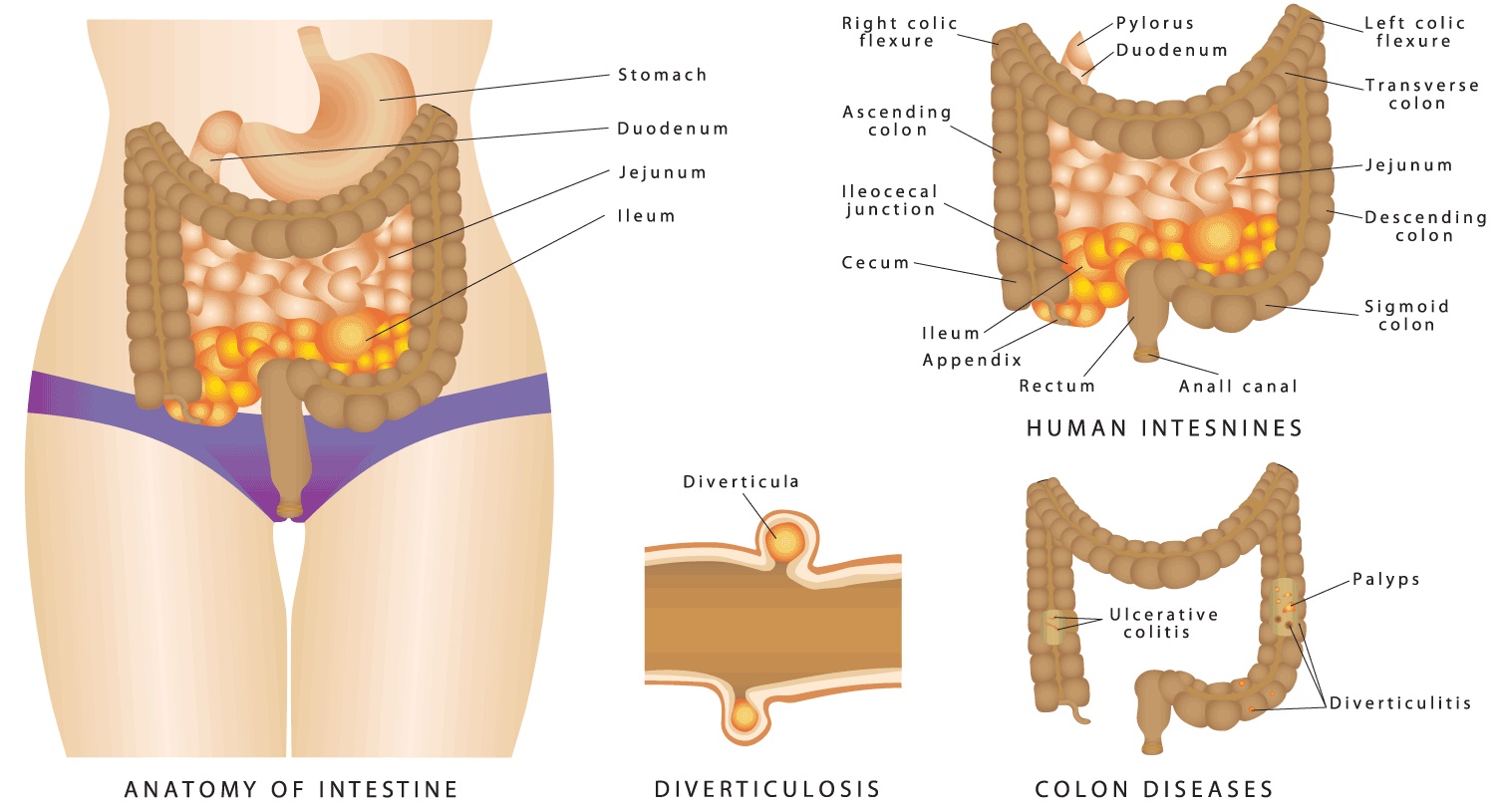 TheHydrosanColonicMachineARevolutionaryToolforOptimalDigestiveHealth 73 bf55